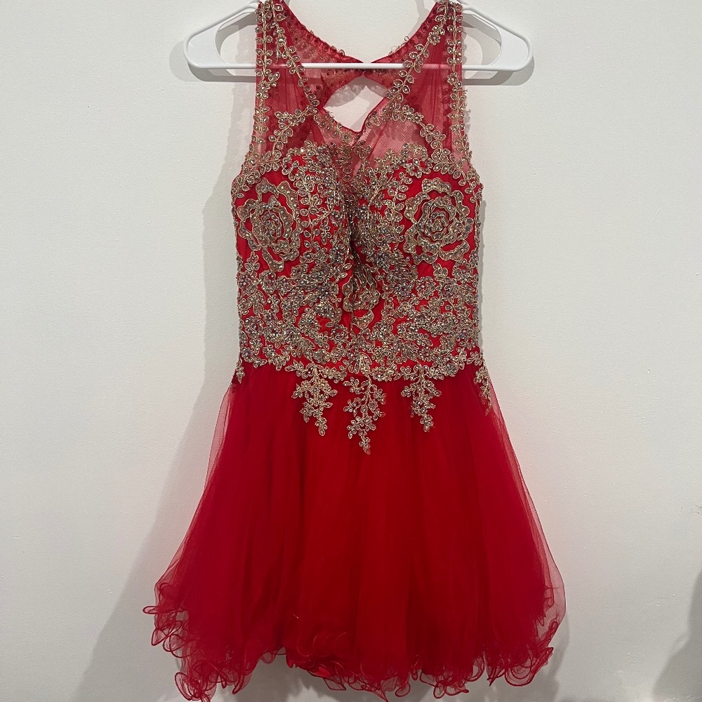 Red sparkly Dress